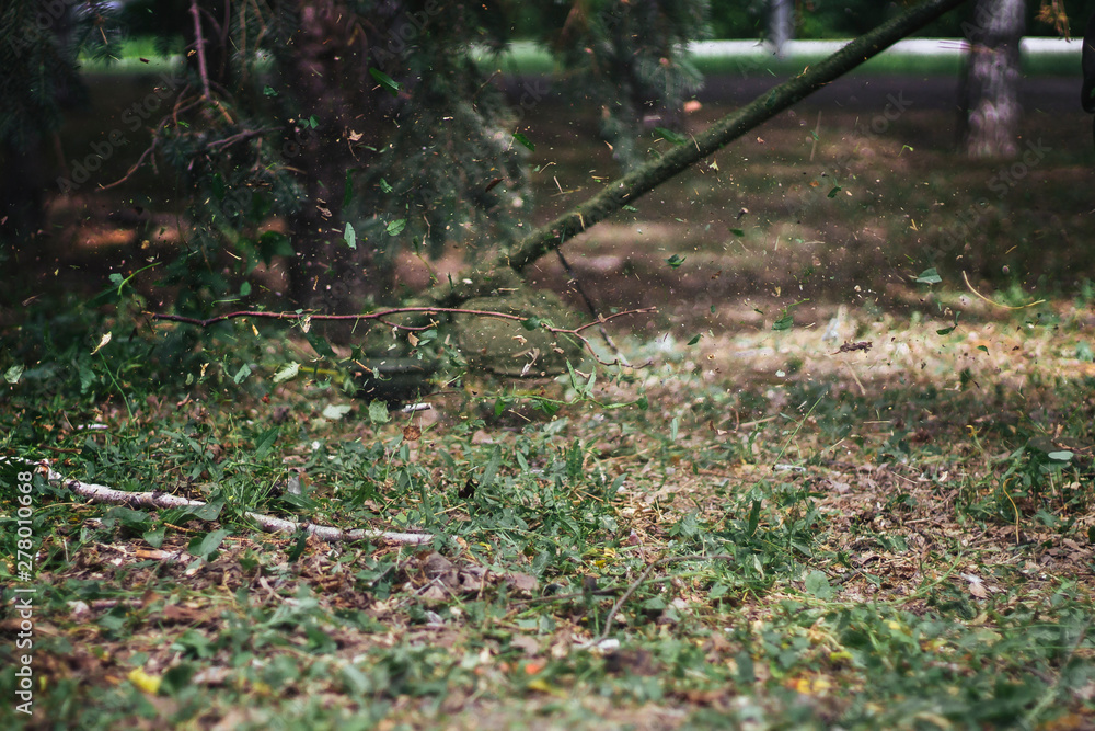 Obraz premium lawnmower or lawn keeper works in the park and cuts the grass by garden trimmer; scraps of foliage fly apart