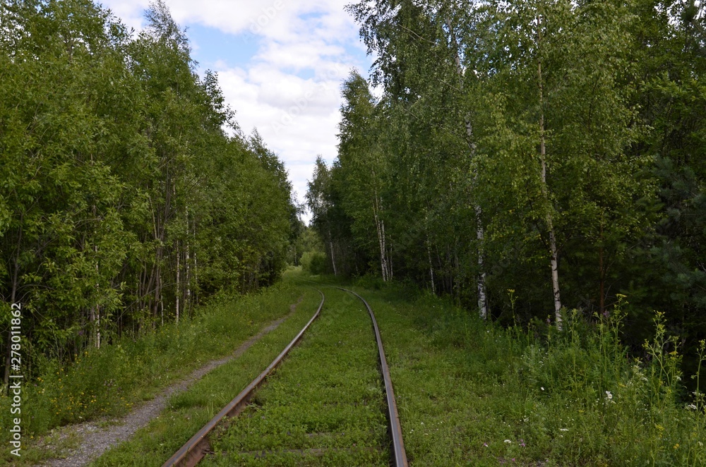 Obraz premium Old abandoned railway overgrown with grass. Close up railroad tracks and levers for changing railway lines. Railway impasse. The end of the railway track.