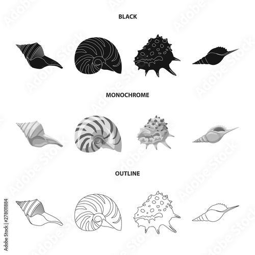 Vector illustration of animal and decoration icon. Collection of animal and ocean stock vector illustration. © Svitlana
