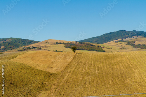 Tuscan countryside at the end of summer: rock landscape with tree in Tuscany Italy