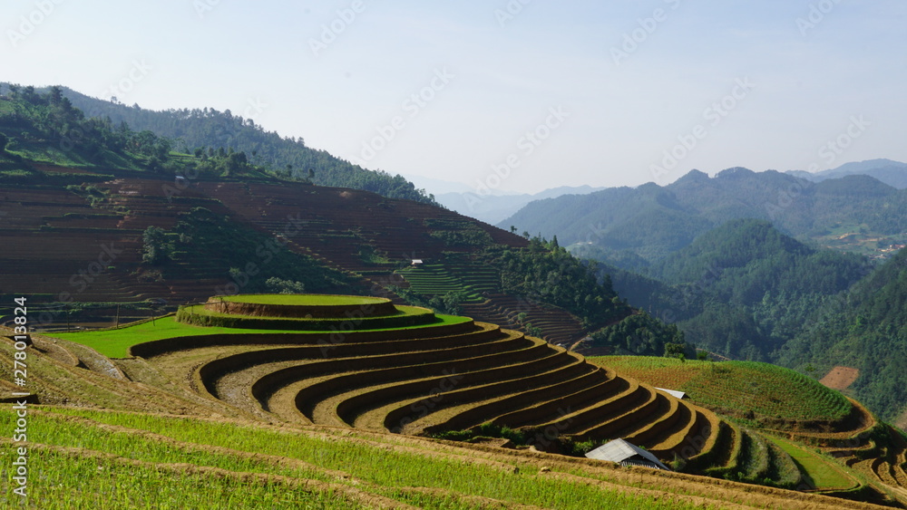 Terraced fields in Mu Cang Chai district, Yen Bai province, Vietnam
