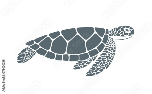 Sea turtle. Isolated turtle on white background. Reptile