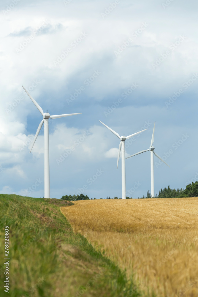 Group of three wind turbines against the sky and a field of ripe wheat. Clean energy source Group of three wind turbines against the sky and a field of ripe wheat. Clean energy source