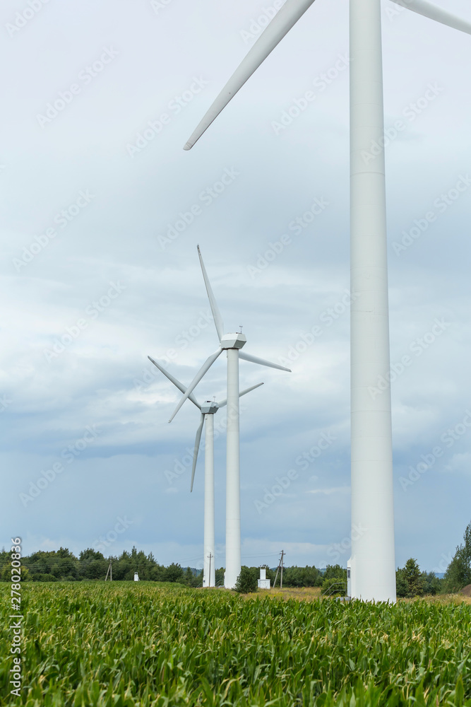 Fototapeta premium Wind generators on the background of the sky with clouds. Clean energy for agro farm.