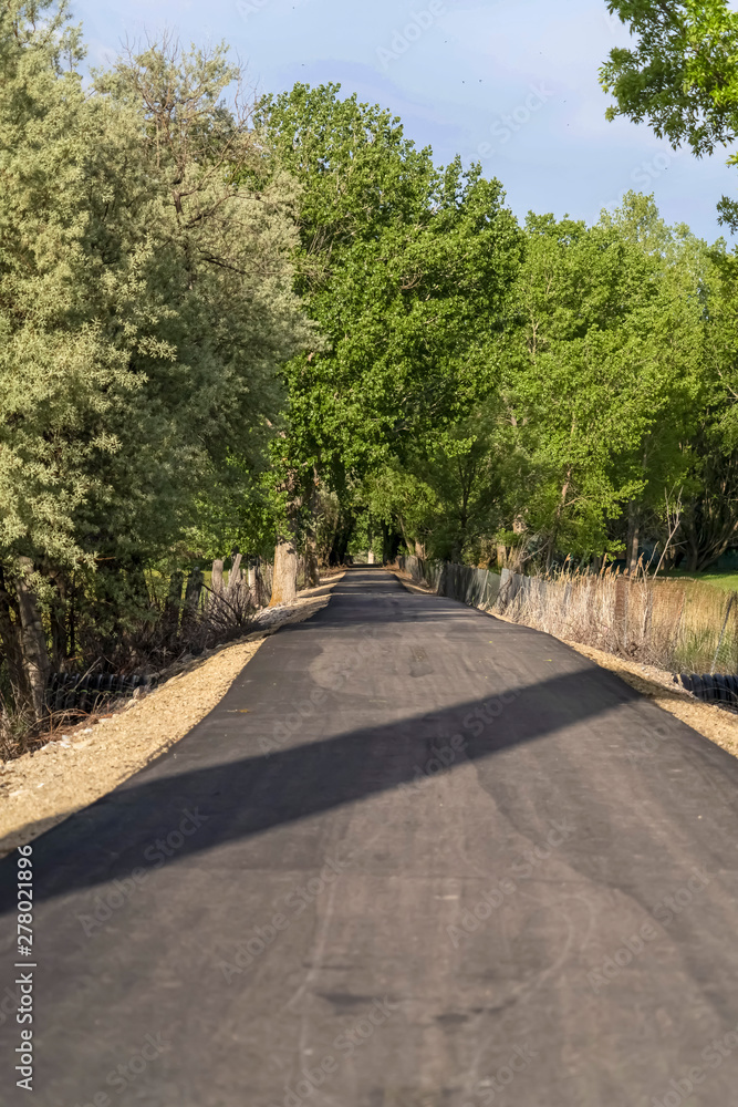 Road lined with abundant trees and chain link fence under blue sky on sunny day