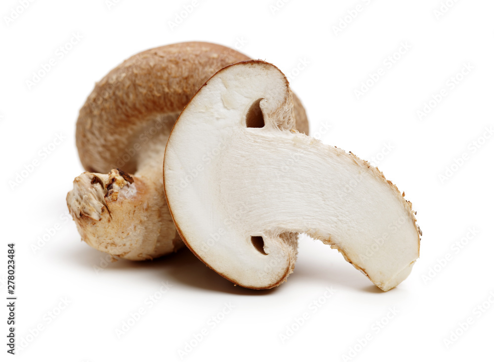 Shiitake mushroom on the White background Shiitake mushroom on the White background