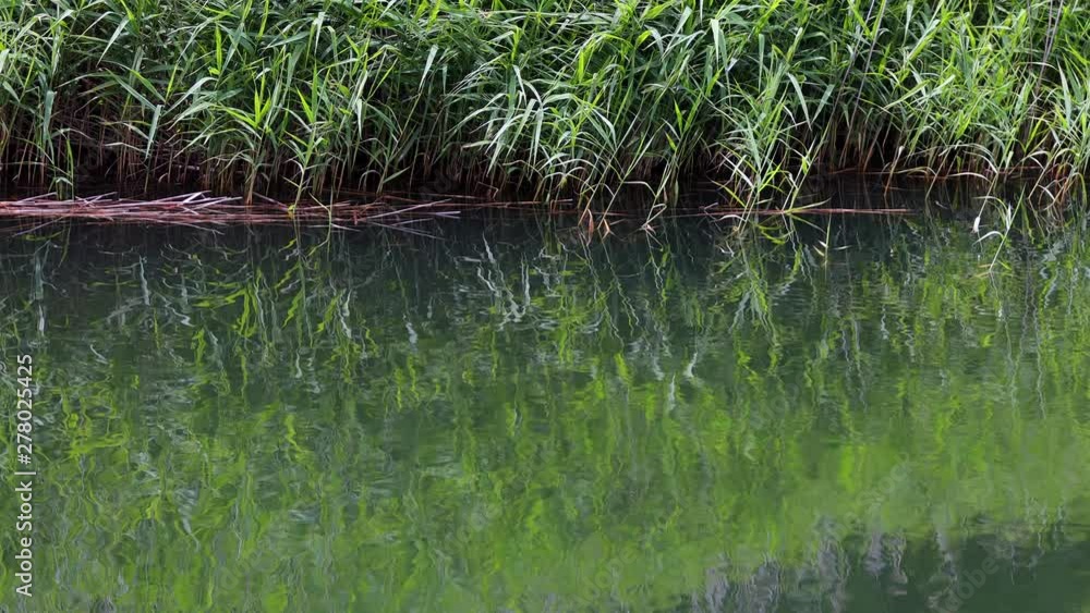 Reflection of ripple water of mountain lake and deep green forest Reflection of ripple water of mountain lake and deep green forest