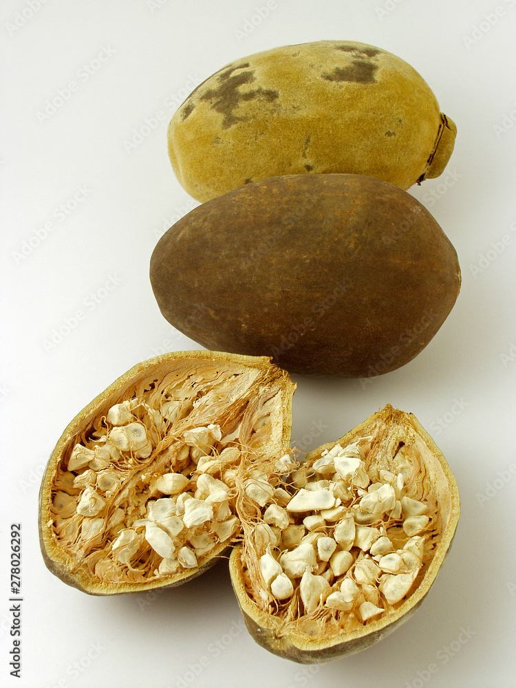 Φωτογραφία Baobab tree fruits. Adansonia digitata.