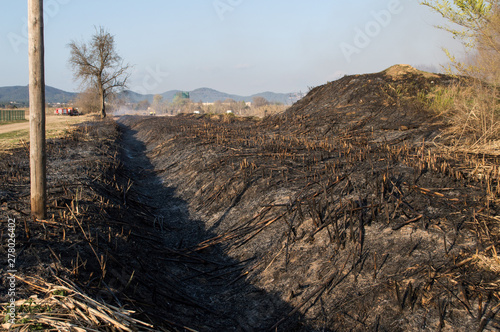 field burned by an oversight, Palafolls