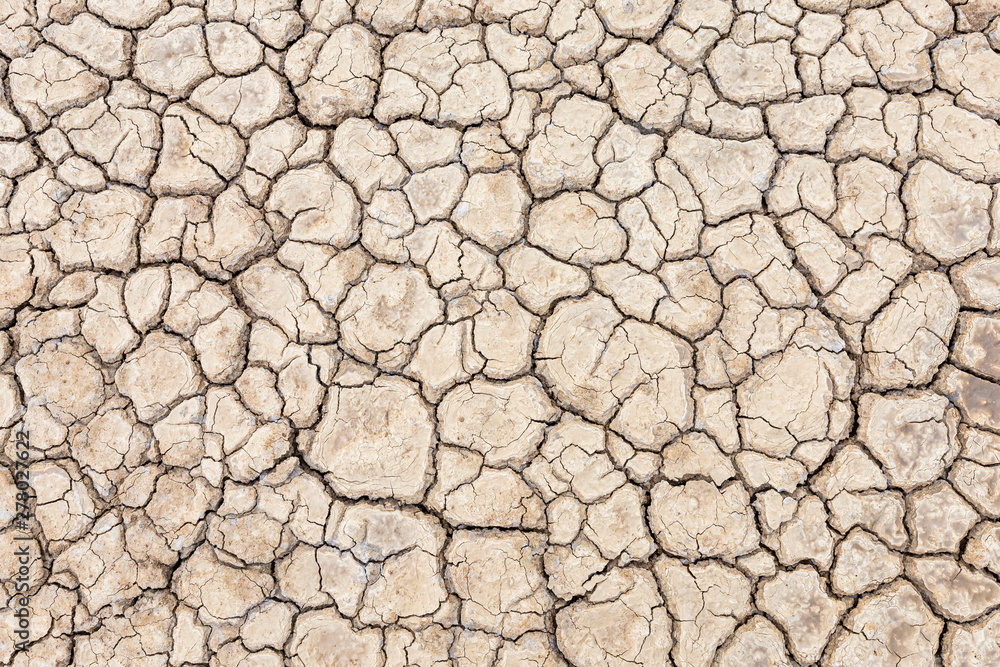 Brown dry soil or cracked ground texture background. Brown dry soil or cracked ground texture background.