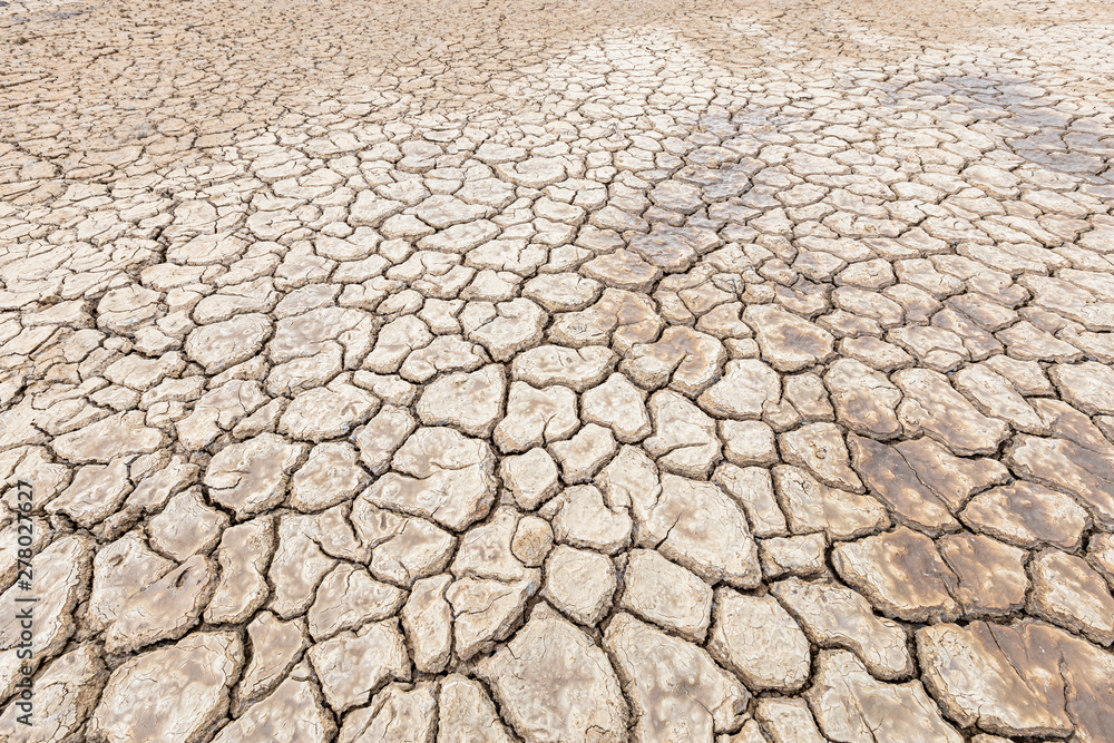 Brown dry soil or cracked ground texture background. Brown dry soil or cracked ground texture background.