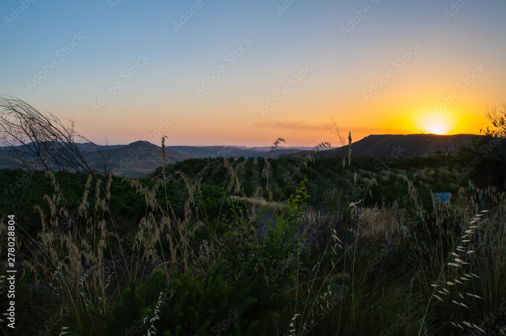 Wonderful Summer Sunset, Sicily, Italy, Europe