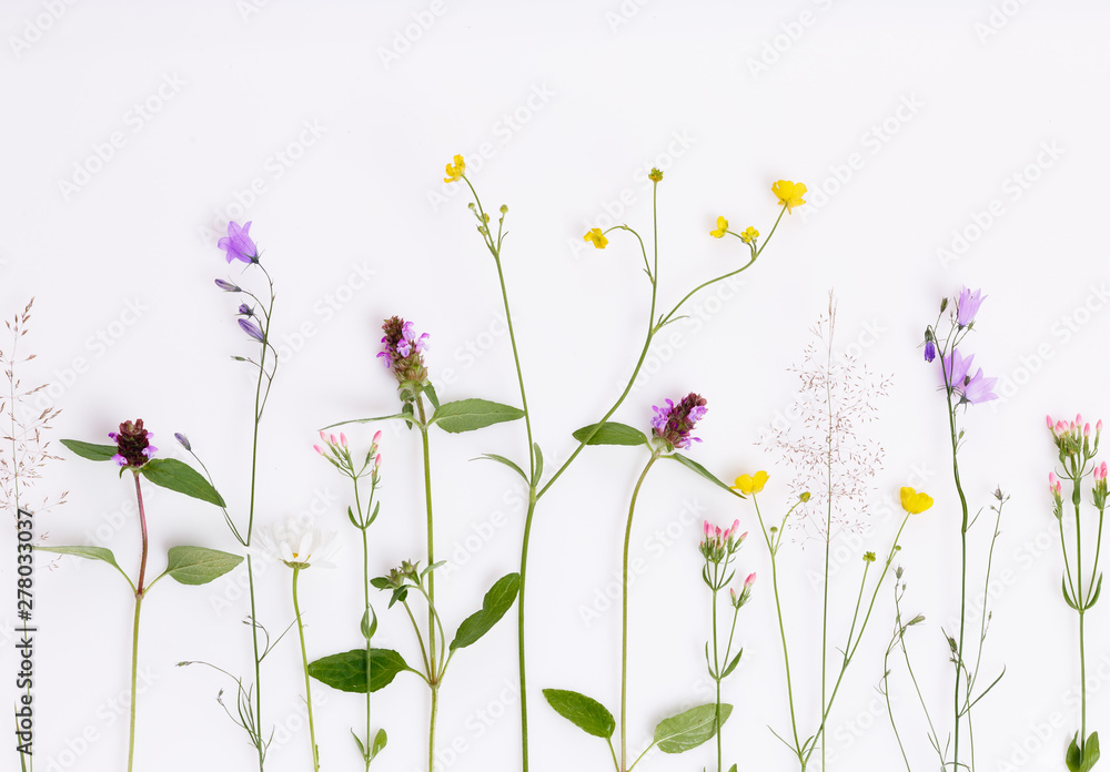 Floral pattern with wildflowers, green leaves, branches on white background. Flat lay, top view. Floral pattern with wildflowers, green leaves, branches on white background. Flat lay, top view.