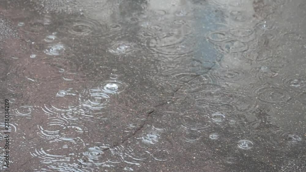raindrops falling with bubbles in a puddle raindrops falling with bubbles in a puddle