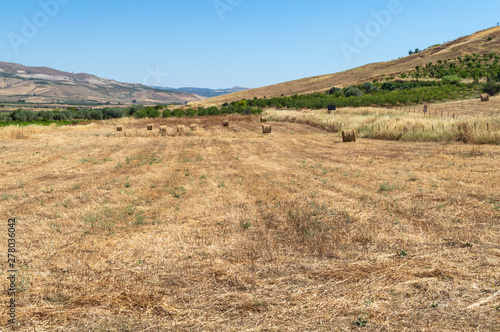 Beautiful Sicilian Landscape after the Harvest, Mazzarino, Caltanissetta, Sicily, Italy, Europe