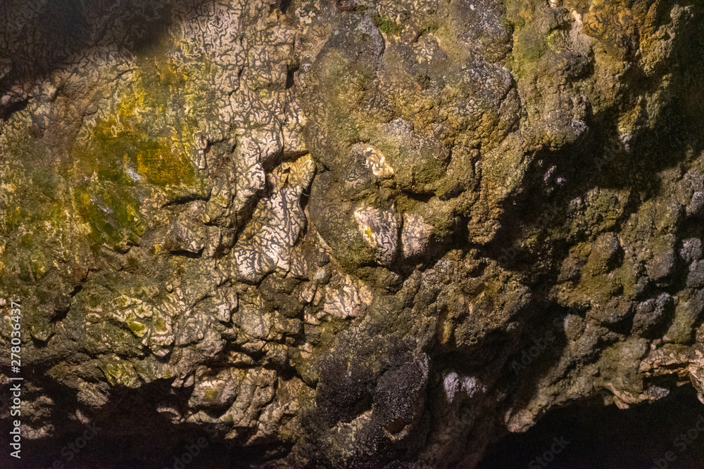 Inside Dambovicioara cave, Piatra Craiului  mountains, Piatra Craiului National ParkInside Dambovicioara cave, Piatra Craiului  mountains, Piatra Craiului National Park