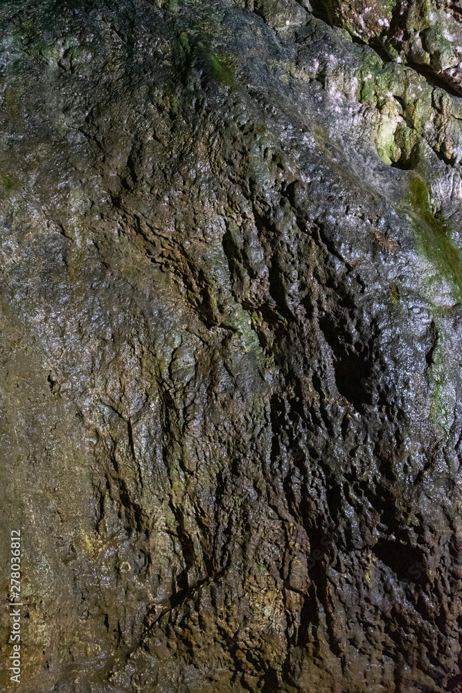 Inside Dambovicioara cave, Piatra Craiului mountains, Piatra Craiului National ParkInside Dambovicioara cave, Piatra Craiului mountains, Piatra Craiului National Park Inside Dambovicioara cave, Piatra Craiului mountains, Piatra Craiului National ParkInside Dambovicioara cave, Piatra Craiului mountains, Piatra Craiului National Park