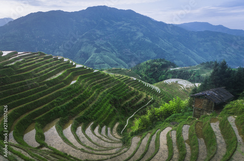 Rice terraces, Guilin Longji © 启祥 曾