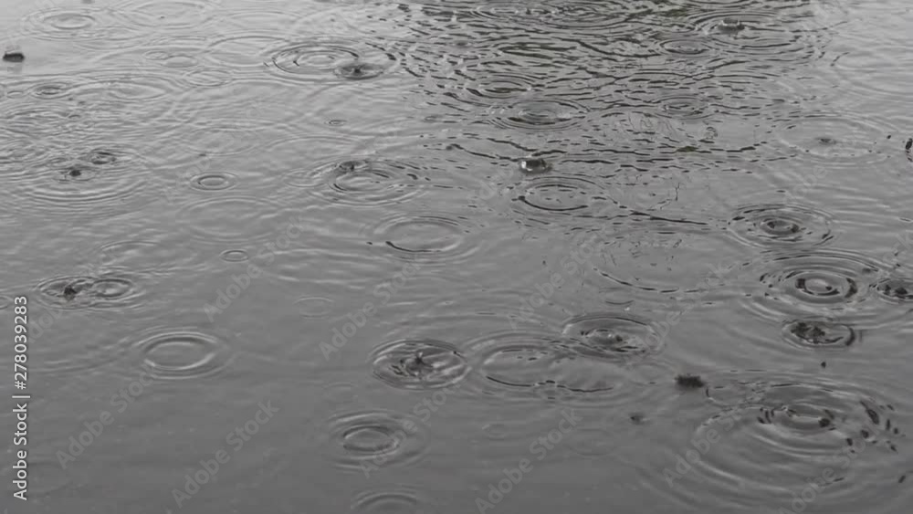 raindrops falling with bubbles in a puddle raindrops falling with bubbles in a puddle