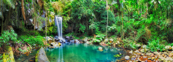 Leinwandbilder Grün QLD WF tamborine pan  © Taras Vyshnya