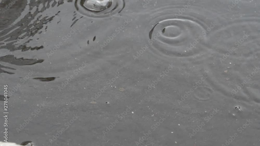 raindrops falling with bubbles in a puddle raindrops falling with bubbles in a puddle