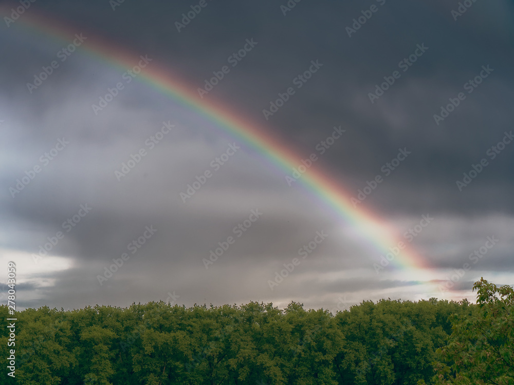 rainbow in the dark sky over the forest