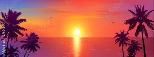 Dark palm trees silhouettes on colorful tropical ocean sunset background, vector illustration © art_of_sun