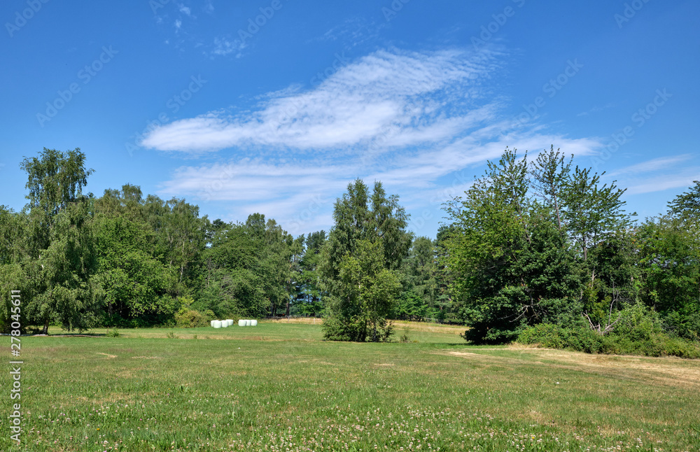 Rural summer landscape in the Spessart highlands with a clean cut meadow, trees and a blued sky with clouds