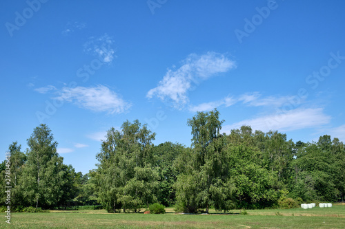 Rural summer landscape in the Spessart highlands with a clean cut meadow, trees and a blued sky with clouds