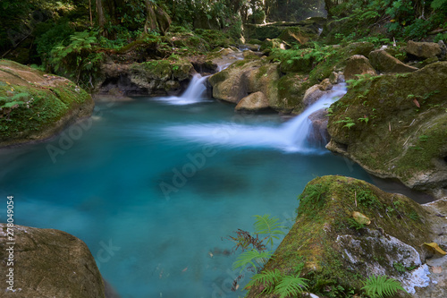 Fototapeta Naklejka Na Ścianę i Meble -  Beautiful pool of water in the Jamaican jungle at Reach Falls
