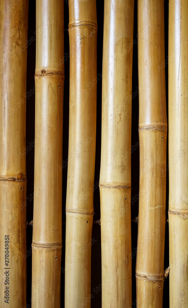 Fototapeta premium bamboo fence background. bamboo texture