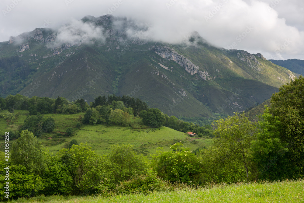 Obraz premium Picos de Europa