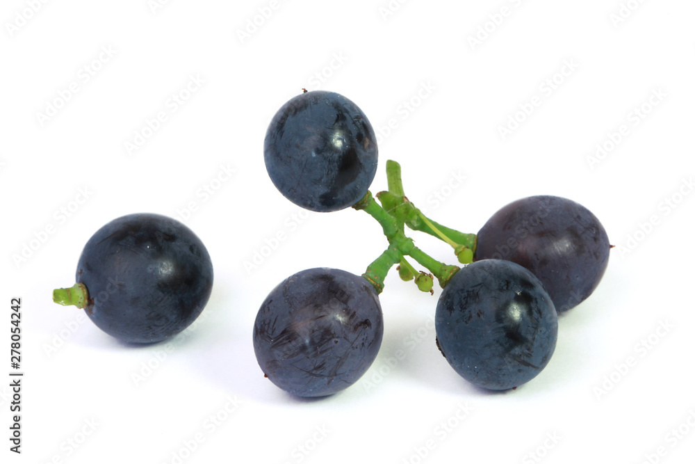 Grains de raisin noir Grains de raisin noir