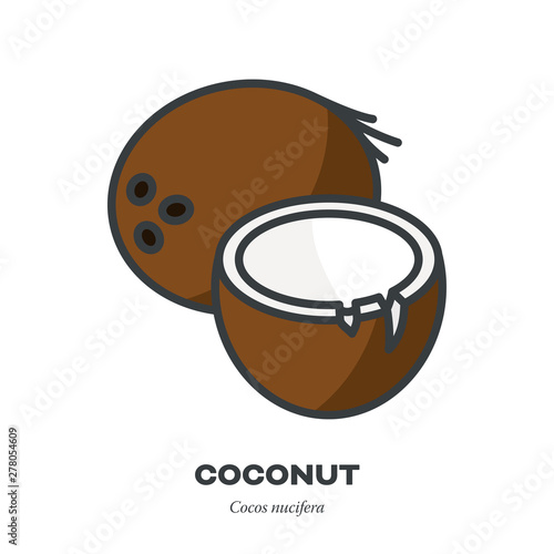 Coconut icon, filled outline style vector
