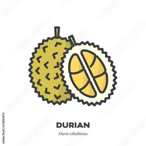 Durian fruit icon, filled outline style vector