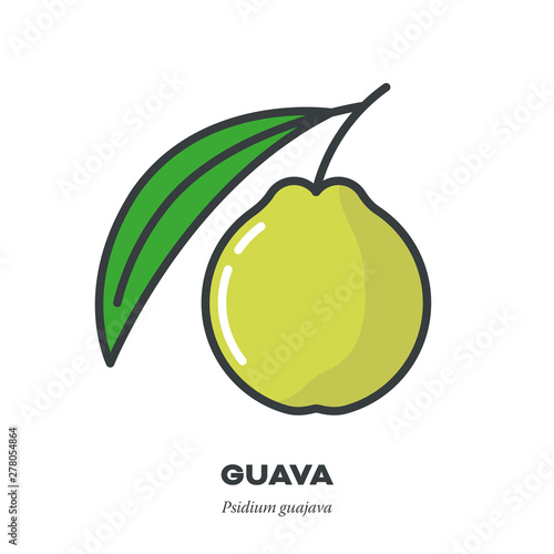 Guava fruit icon, filled outline style vector