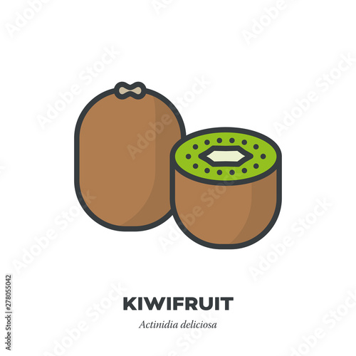 Kiwi fruit icon, filled outline style vector