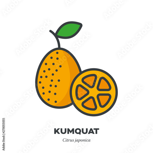 Kumquat fruit icon, filled outline style vector