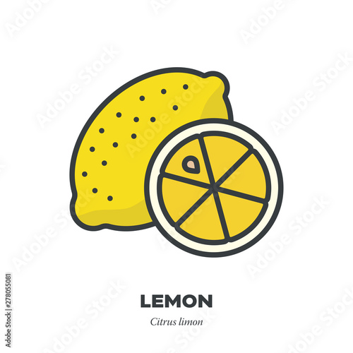 Lemon fruit icon, filled outline style vector