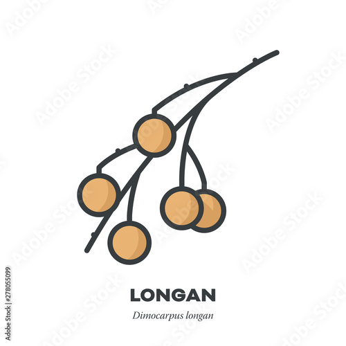 Longan fruit icon, filled outline style vector