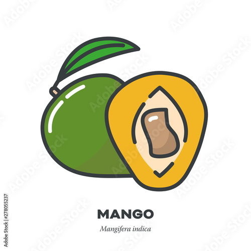 Mango fruit icon, filled outline style vector