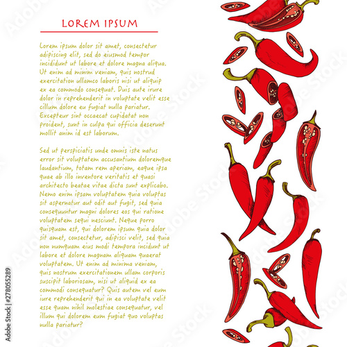 Food background with chili sketch vegetables Hand drawn vertical social media template