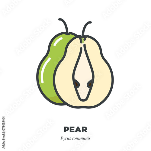 Pear fruit icon, filled outline style vector