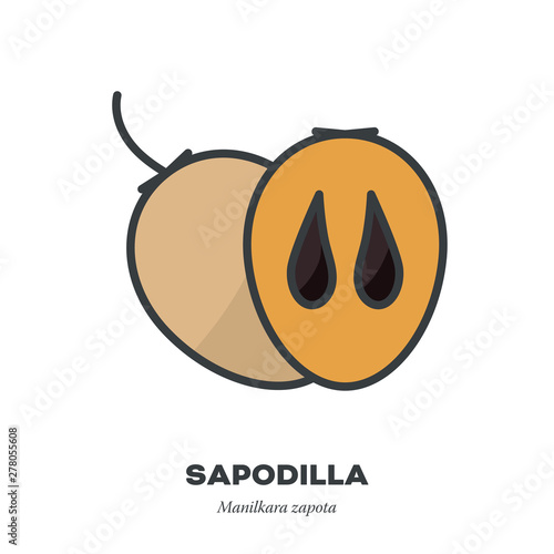 Sapodilla fruit icon, filled outline style vector