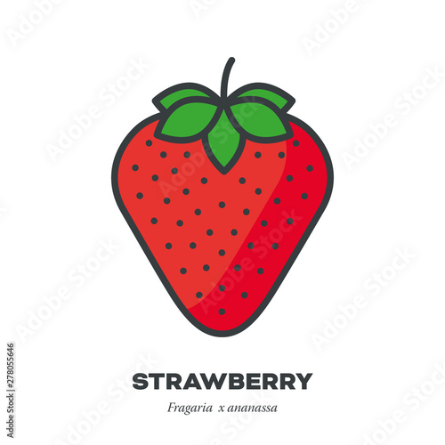 strawberry fruit icon, filled outline style vector