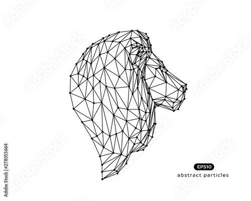 Vector abstract illustration of lion. You can easily change color.