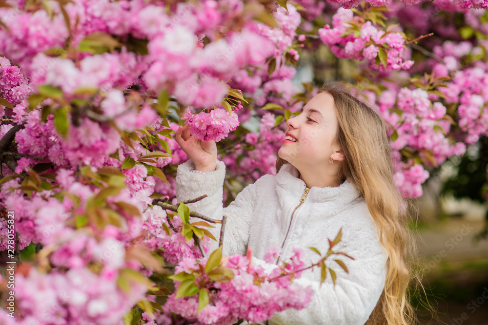 Sniffing flowers. Child enjoy warm spring. Girl enjoying floral aroma. Kid on pink flowers of sakura tree background. Botany concept. Kid enjoying cherry blossom sakura. Flowers as soft pink clouds Sniffing flowers. Child enjoy warm spring. Girl enjoying floral aroma. Kid on pink flowers of sakura tree background. Botany concept. Kid enjoying cherry blossom sakura. Flowers as soft pink clouds