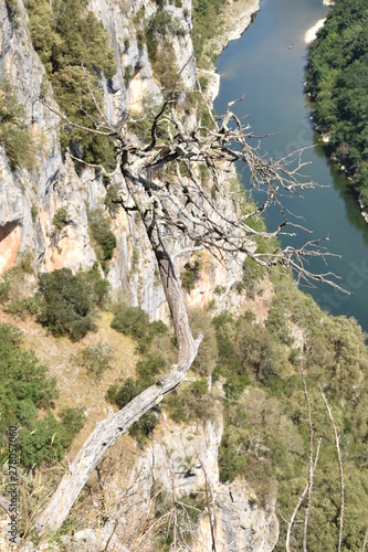 Beautiful canyon of Ardèche in Southern France 