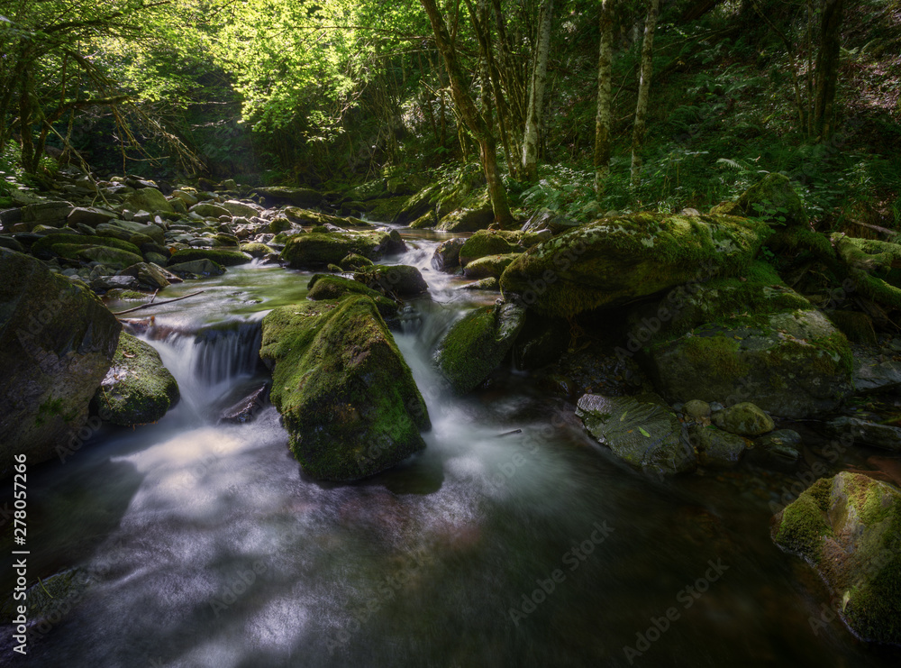 Refreshing scene of greenish light in a river in summer Refreshing scene of greenish light in a river in summer