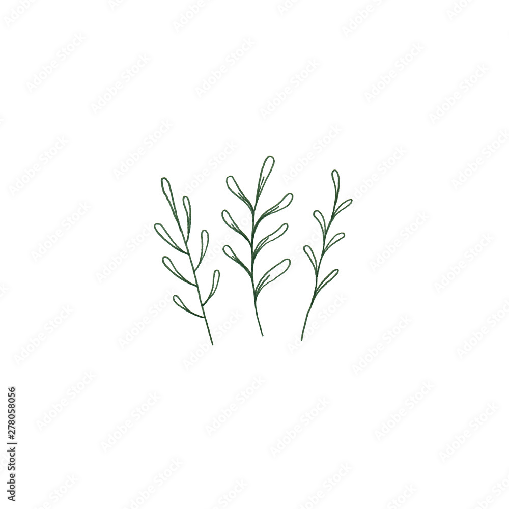 Green fern cute illustration Green fern cute illustration